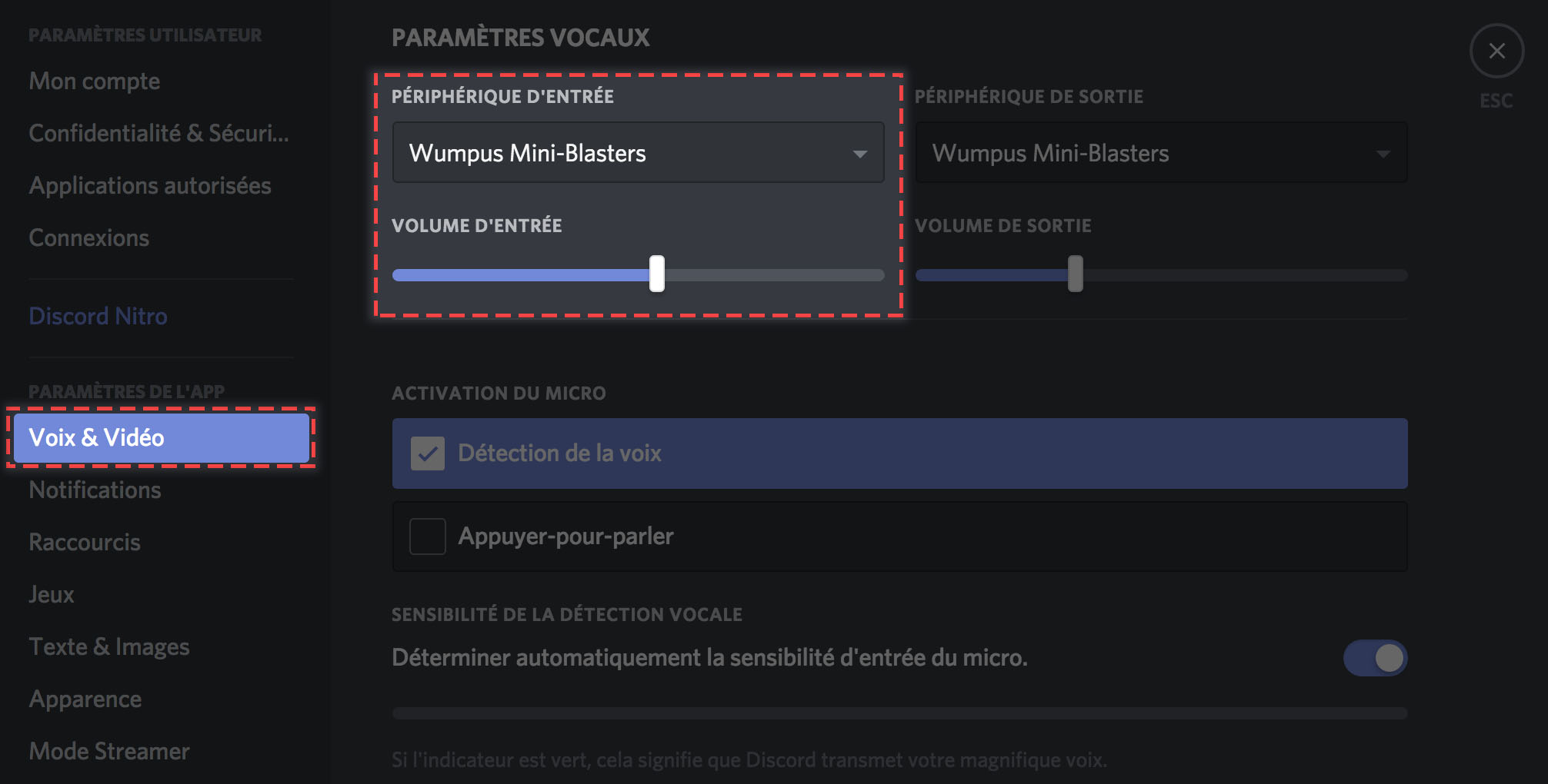 micro casque discord