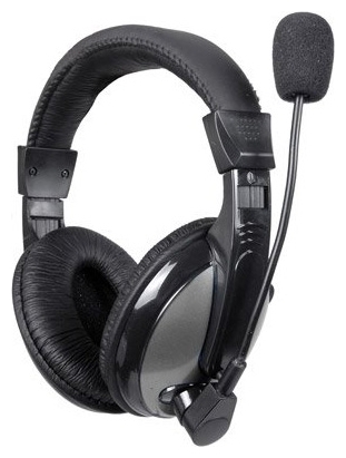 micro casque echo