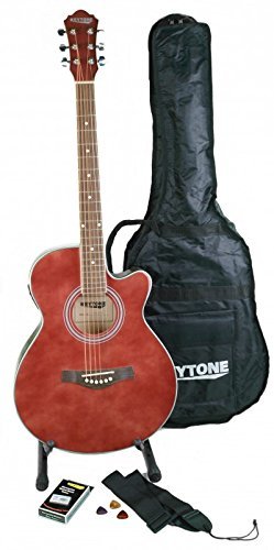 micro guitare acoustique amazon