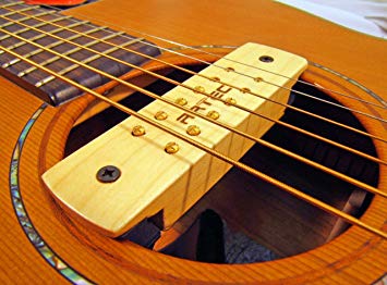 micro guitare acoustique amazon
