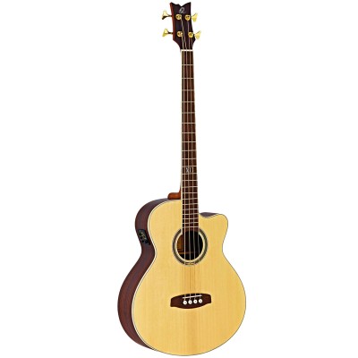 micro guitare acoustique woodbrass