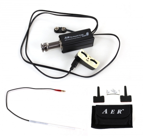 micro guitare aer