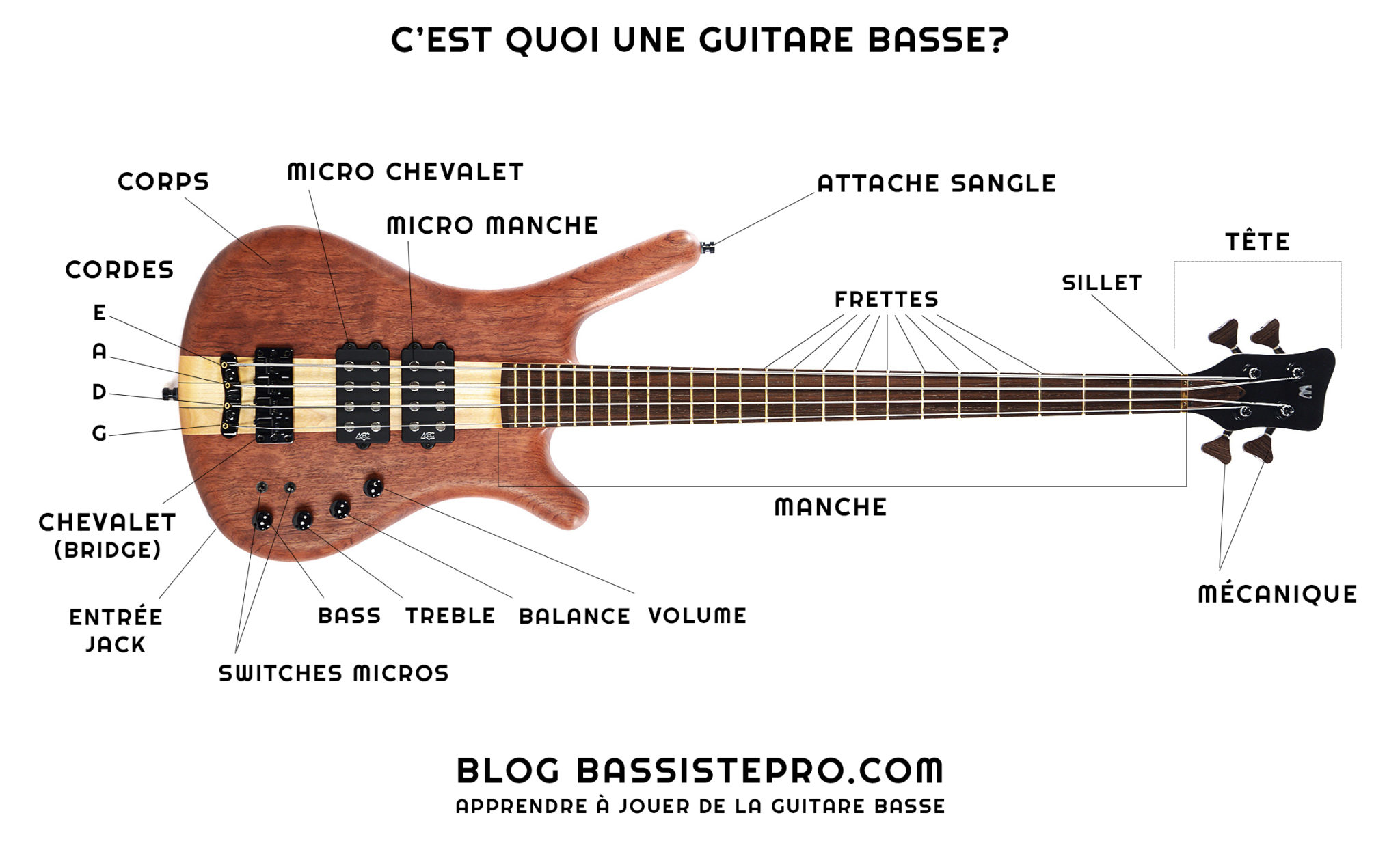 micro guitare basse