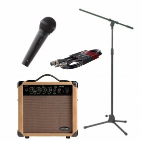 micro guitare chant
