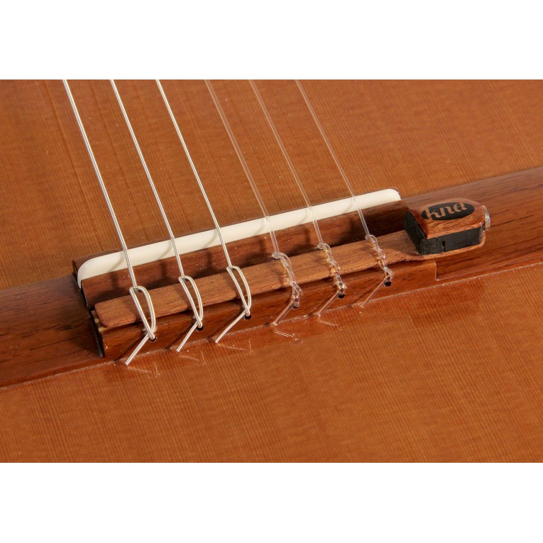 micro guitare classique fishman