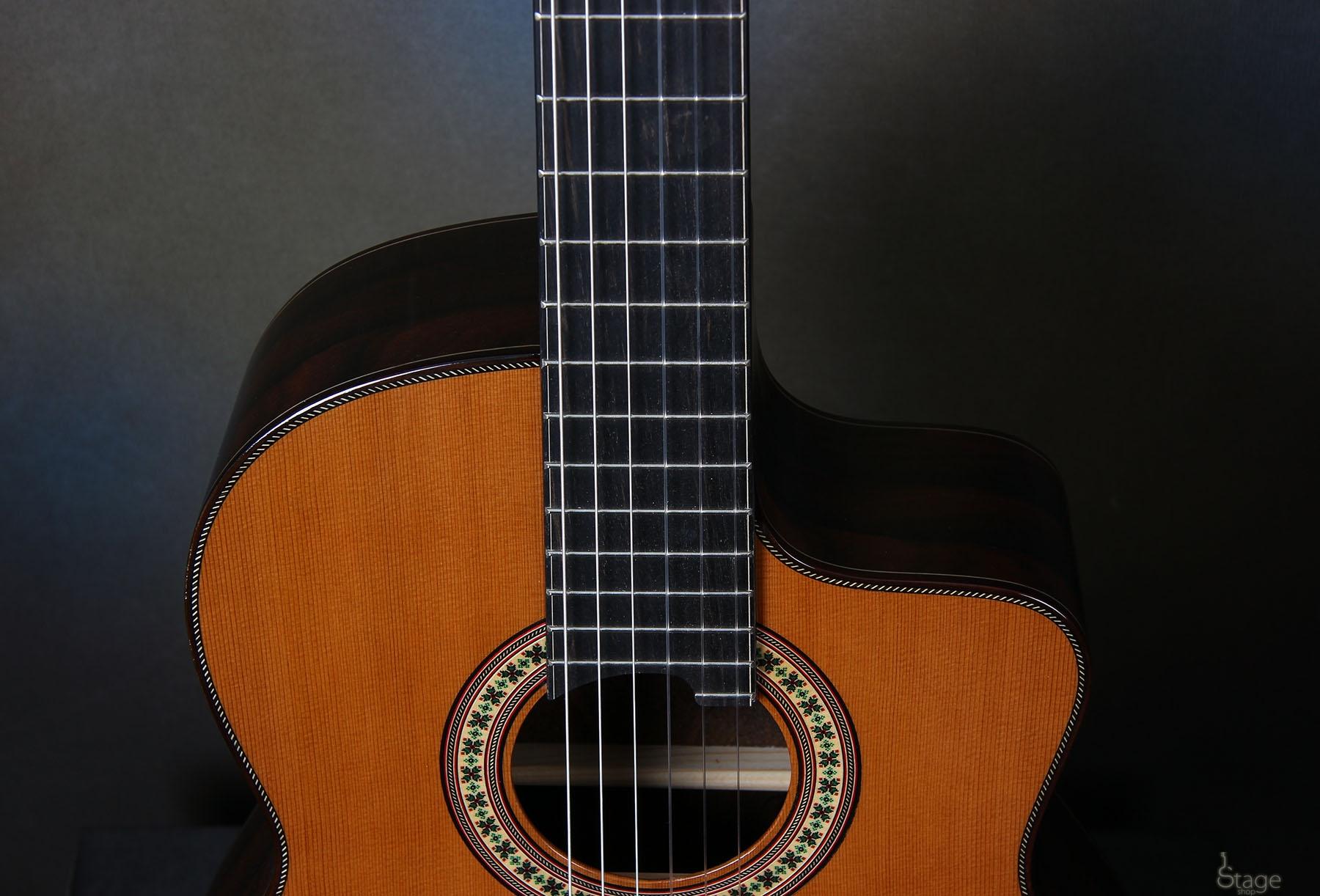 micro guitare classique fishman