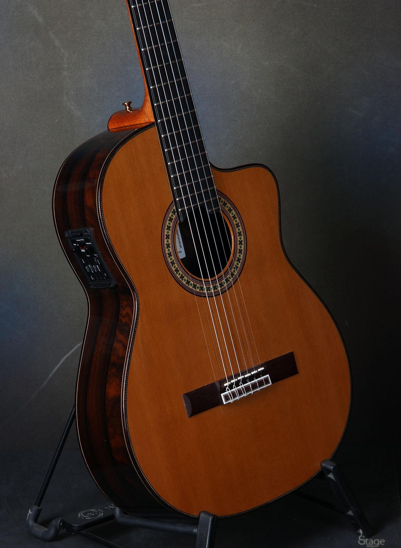 micro guitare classique fishman