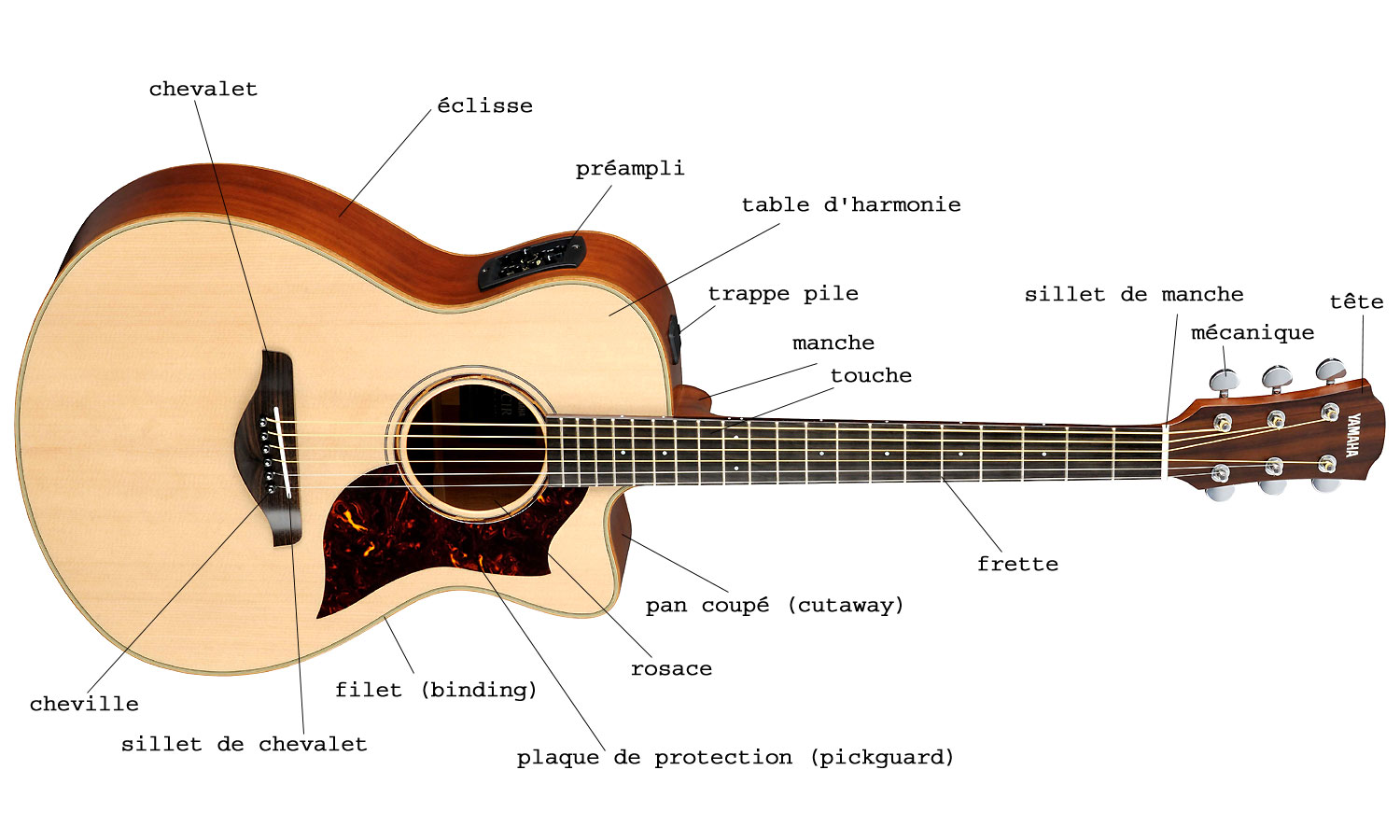 micro guitare comment choisir