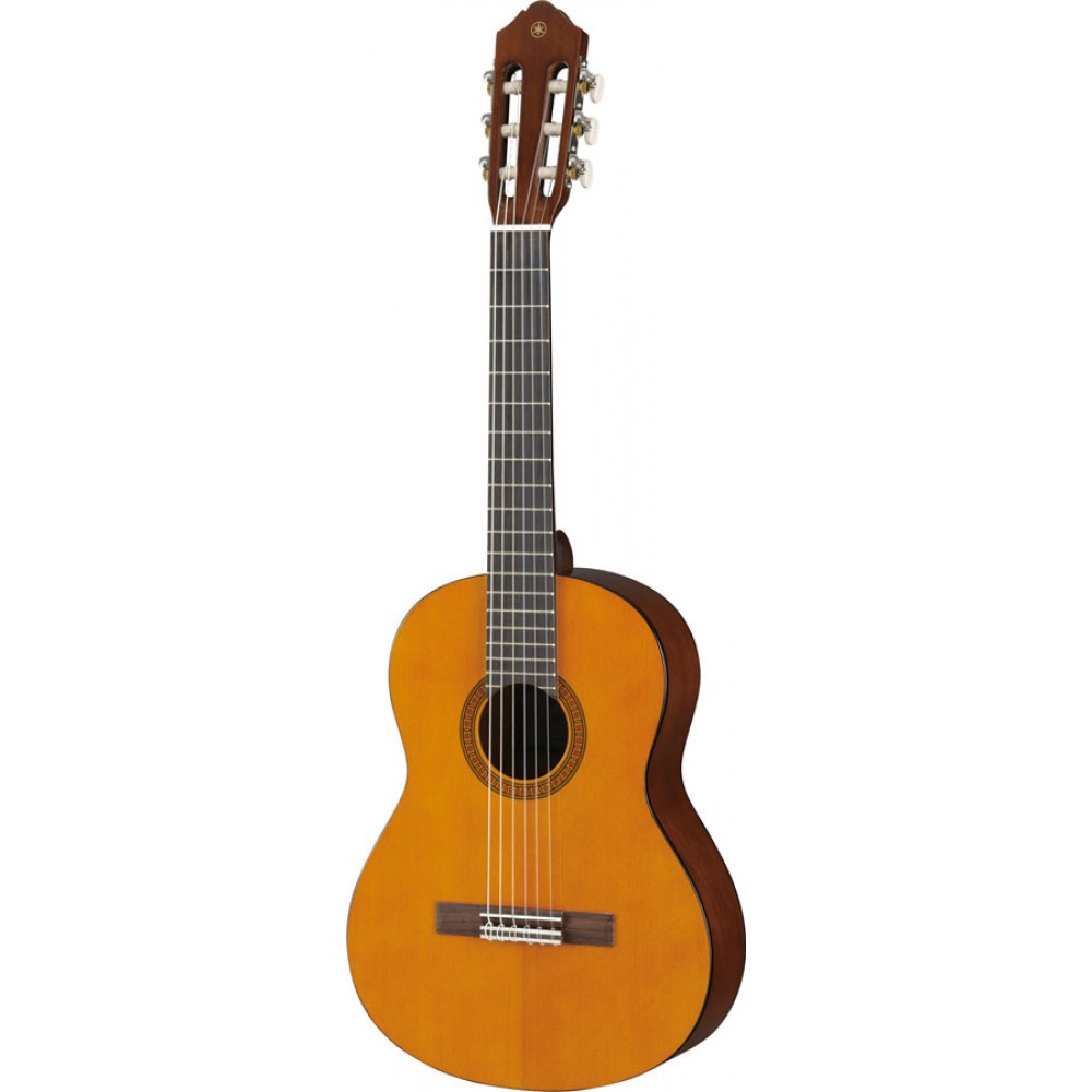 micro guitare cultura