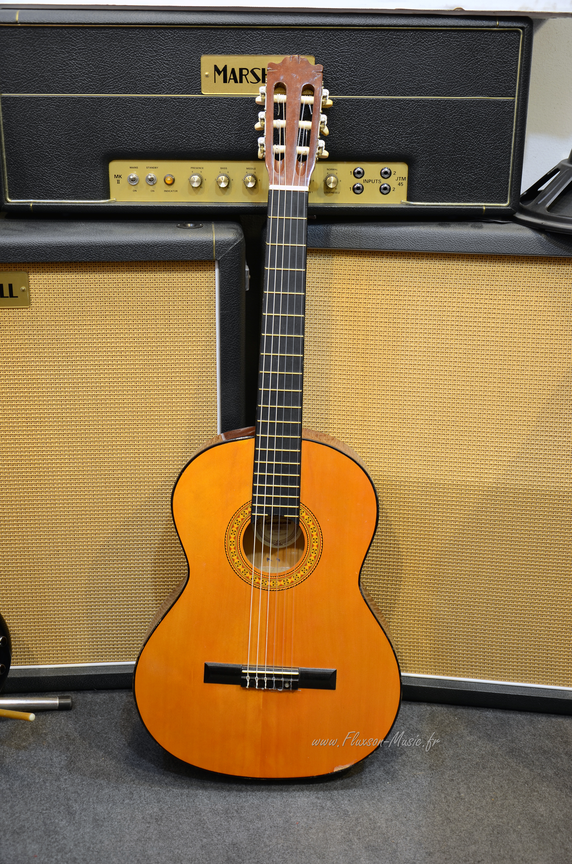 micro guitare d'occasion