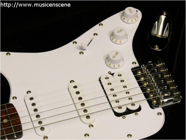 micro guitare double