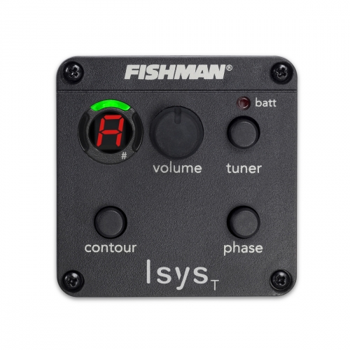 micro guitare fishman