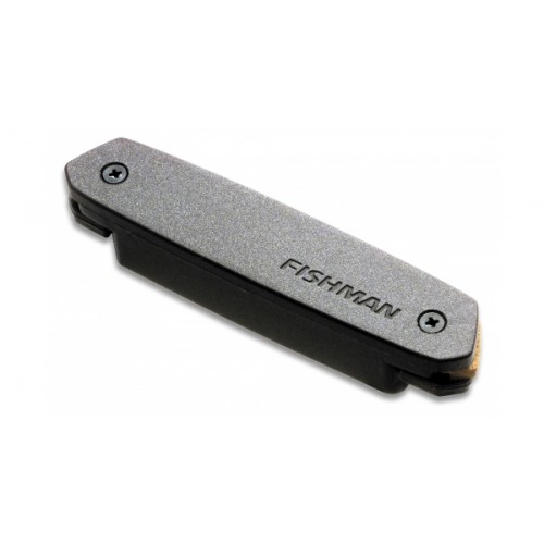 micro guitare fishman