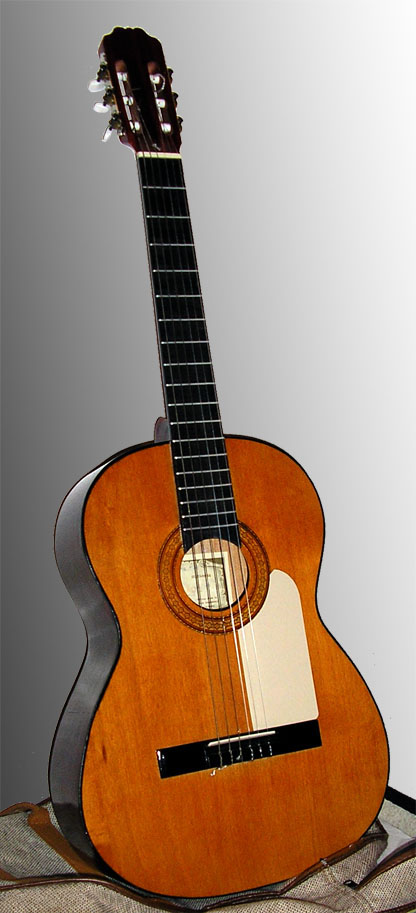 micro guitare flamenca