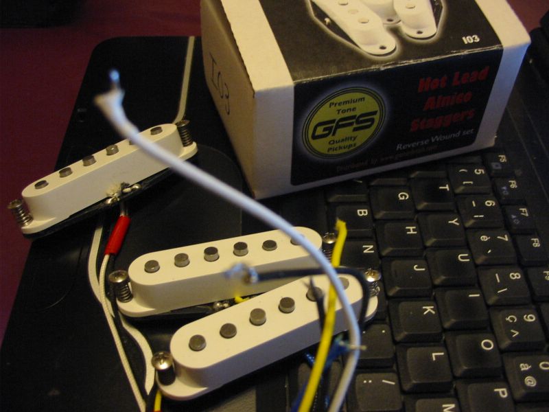 micro guitare gfs