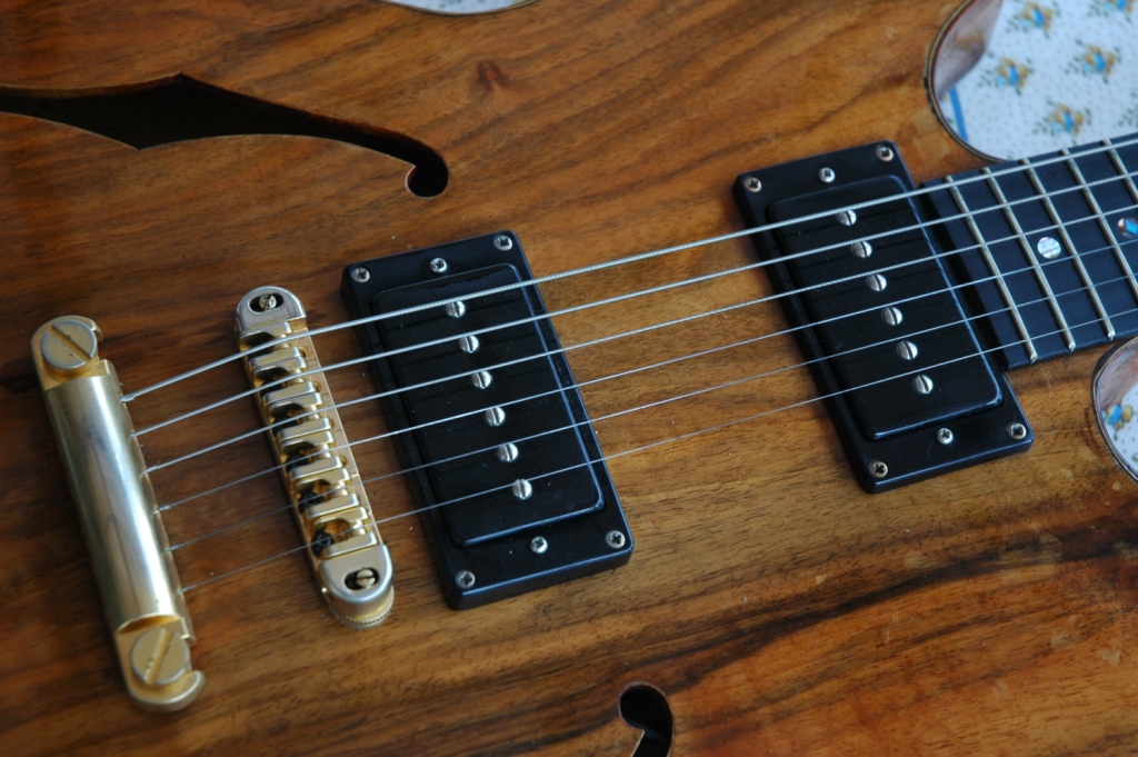 micro guitare gfs