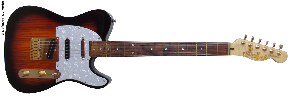 micro guitare manche