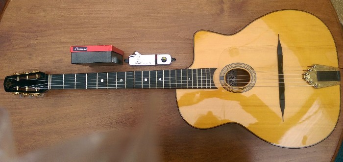 micro guitare manouche occasion