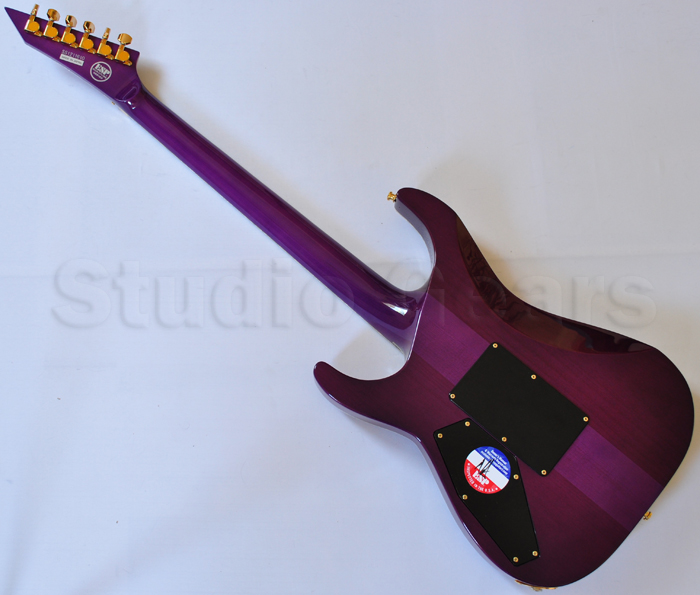 micro guitare nightwish