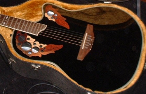 micro guitare ovation