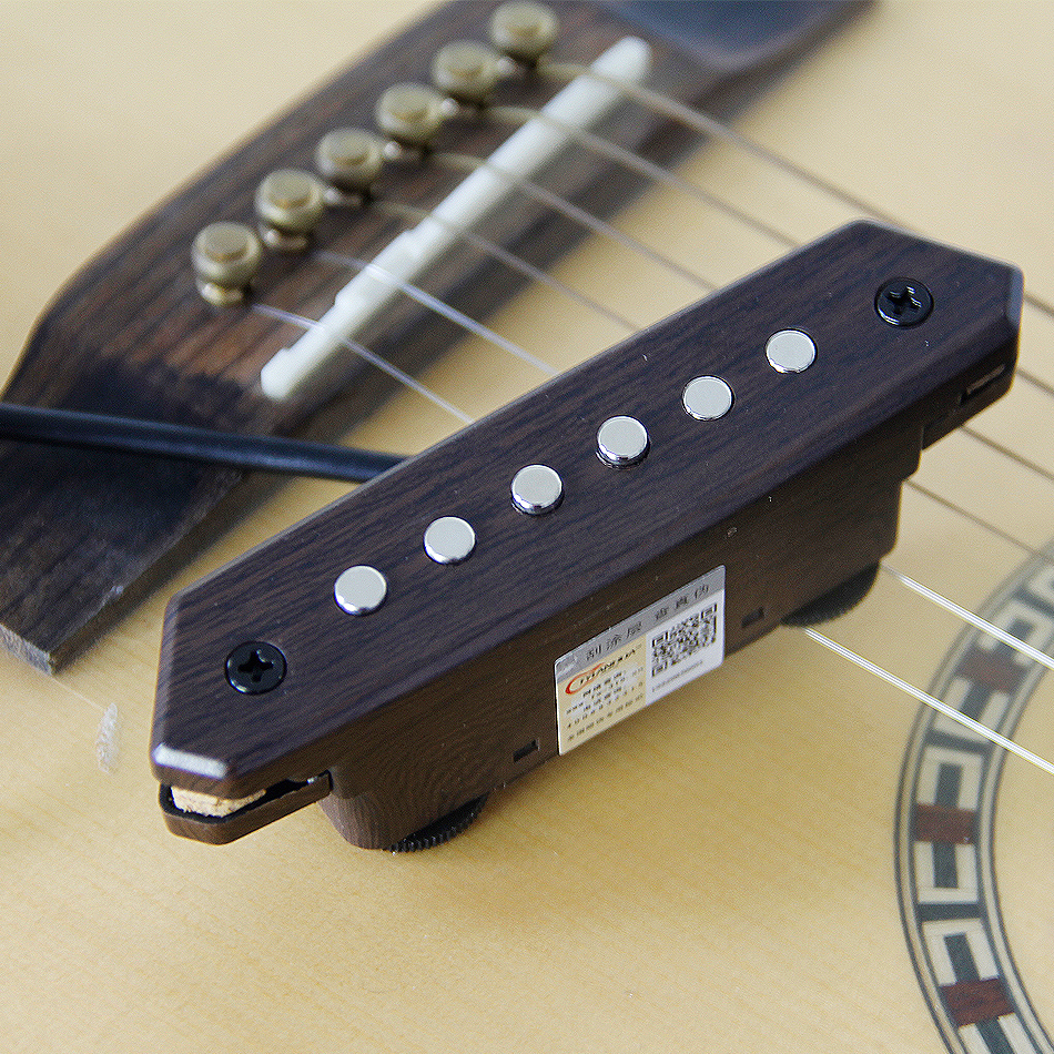 micro guitare passif