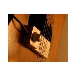 micro guitare peche a la mouche