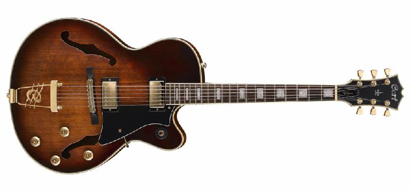 micro guitare polyvalent