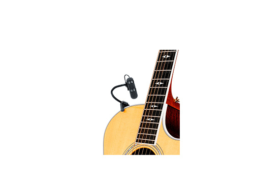 micro guitare polyvalent