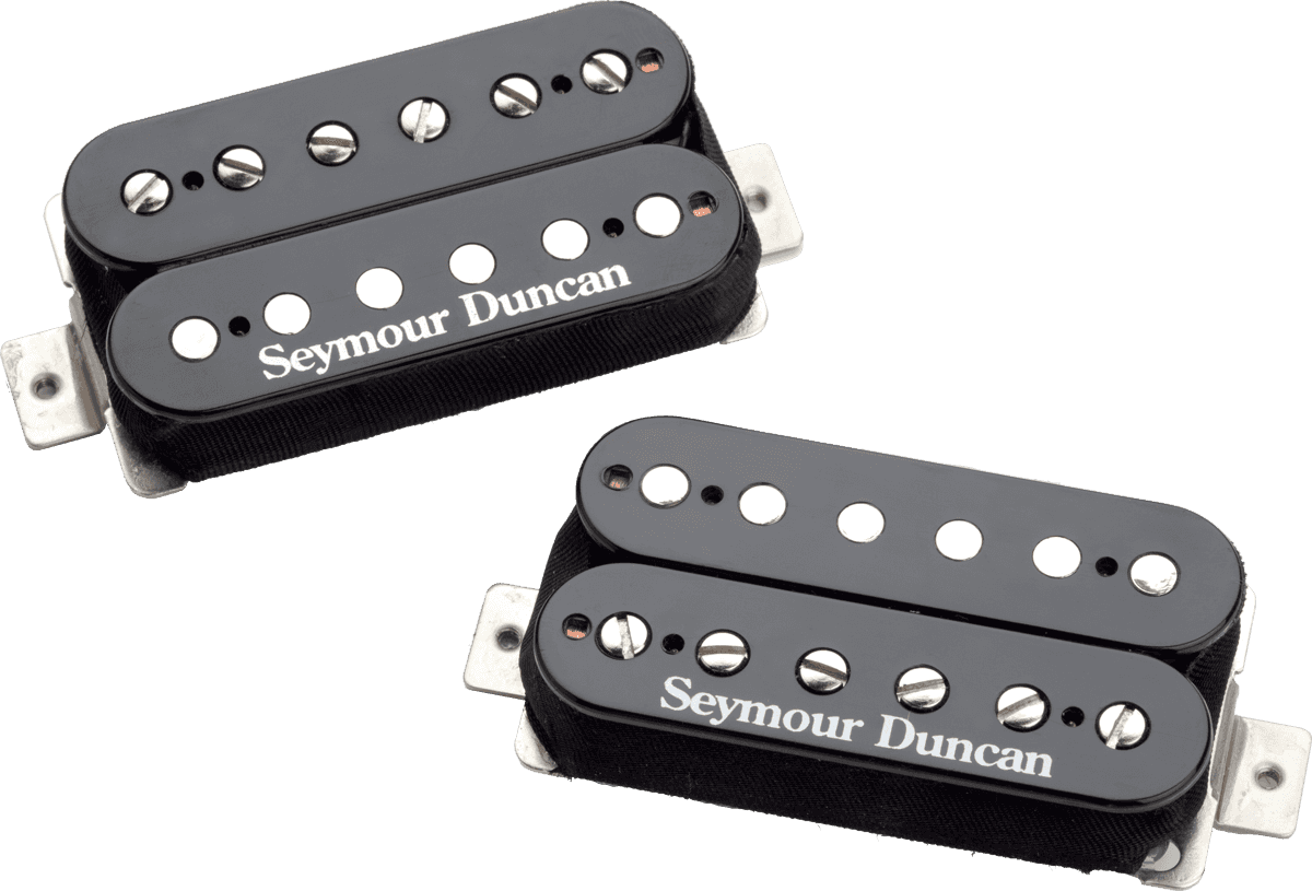 micro guitare polyvalent
