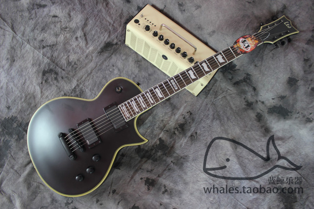 micro guitare pour metal