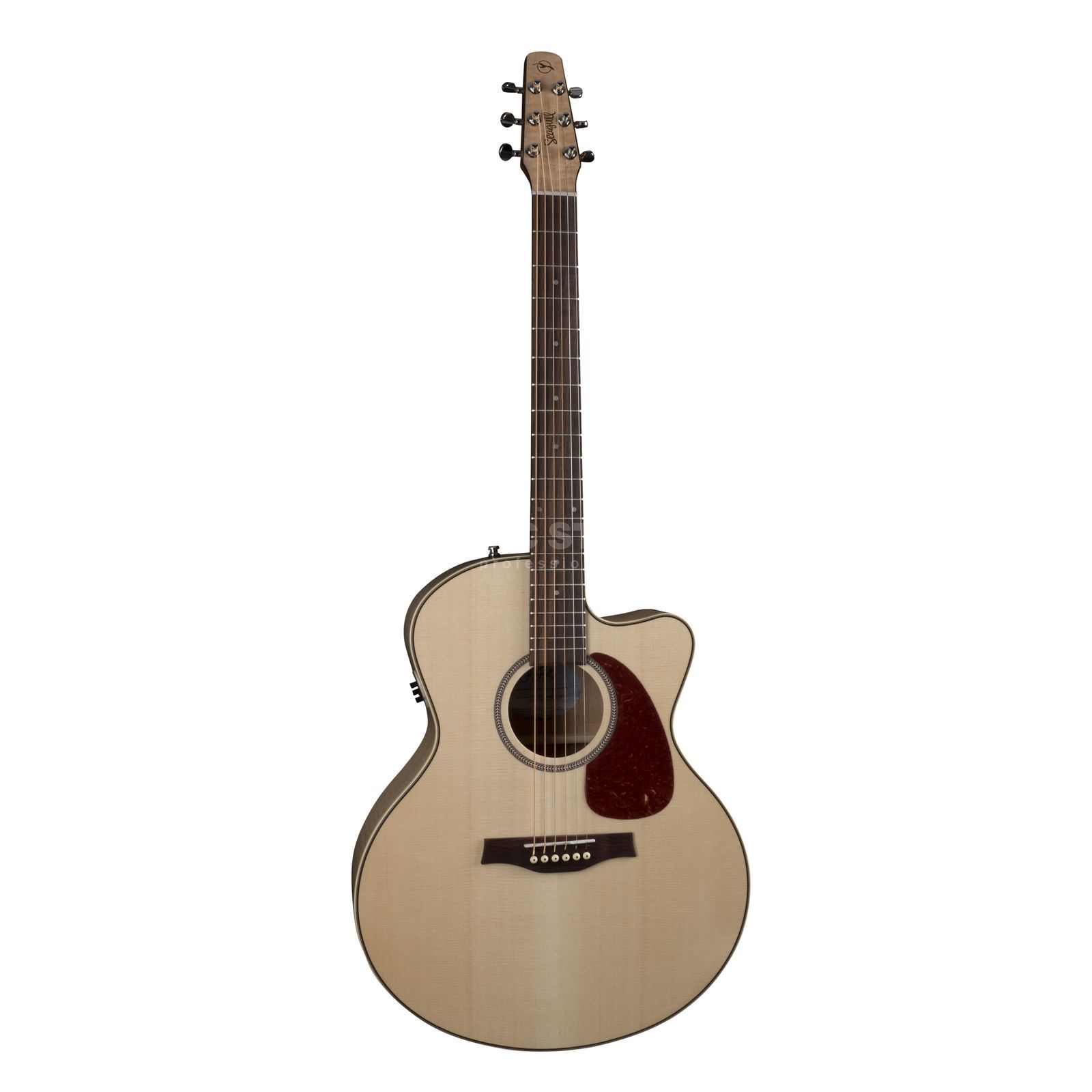 micro guitare quantum
