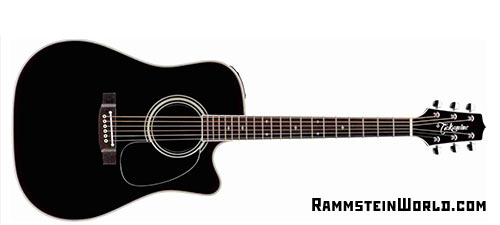 micro guitare rammstein