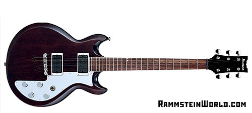 micro guitare rammstein