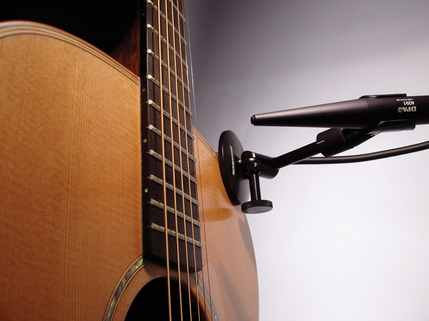 micro guitare rohs