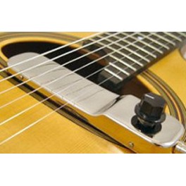 micro guitare stimer