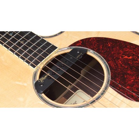 micro guitare takamine