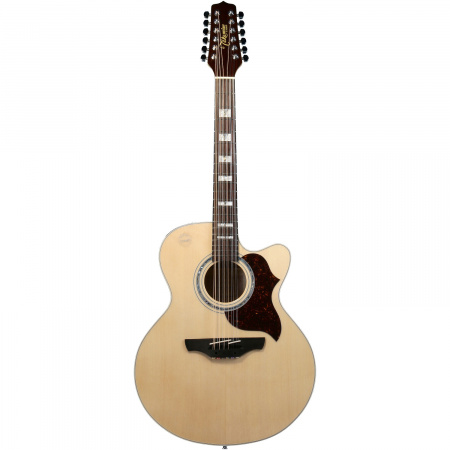 micro guitare takamine