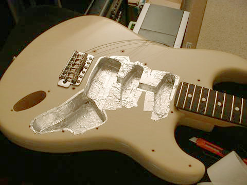 micro guitare terre