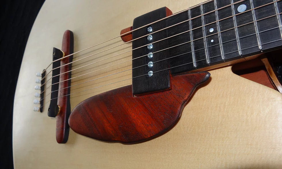 micro guitare terre