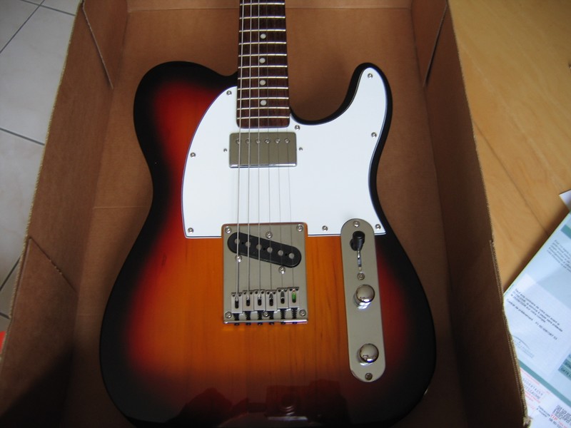micro guitare terre