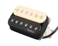 micro guitare tesla