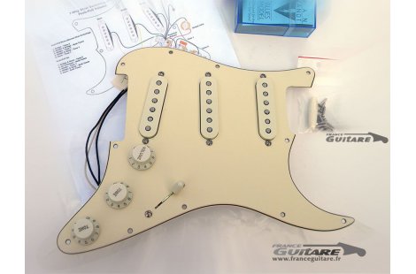 micro guitare van zandt