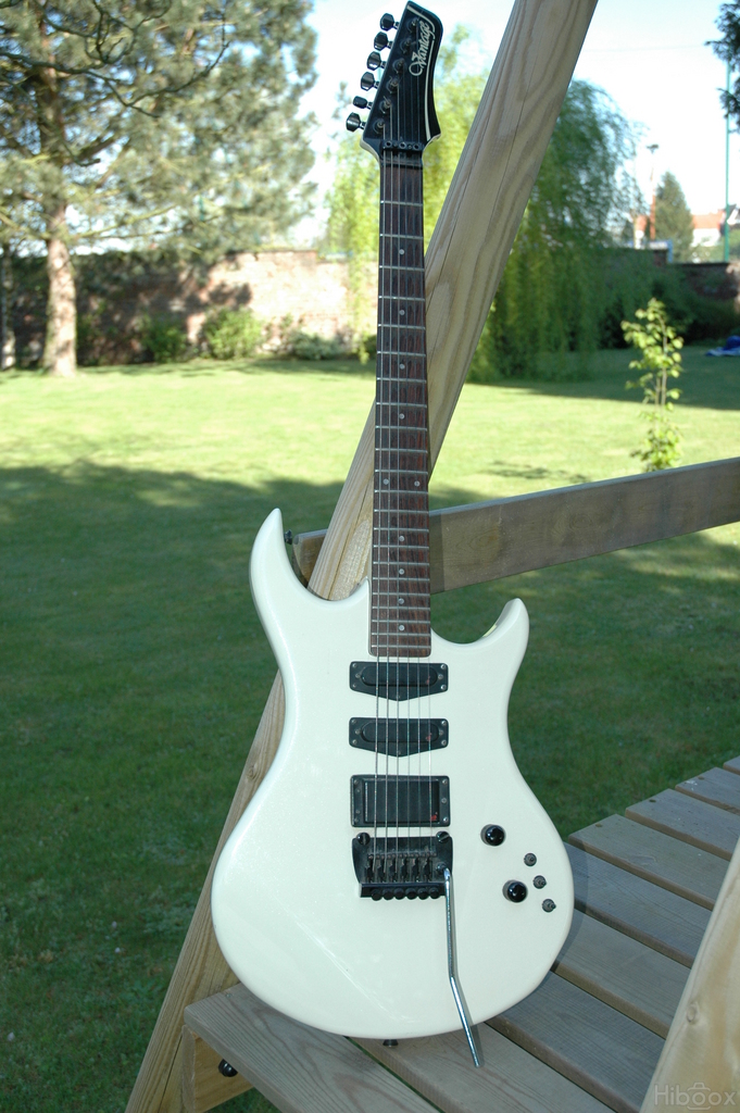 micro guitare vantage