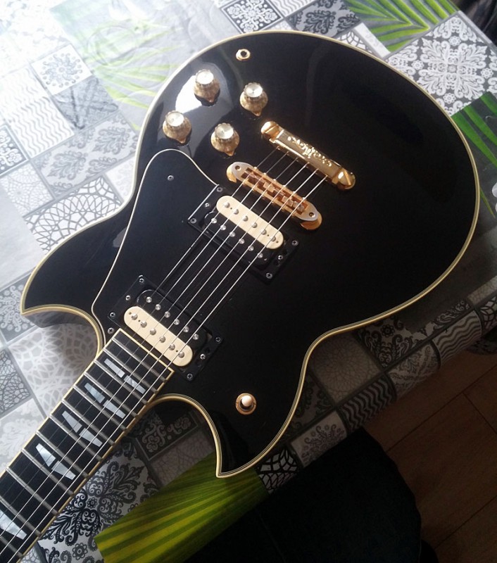 micro guitare venelles