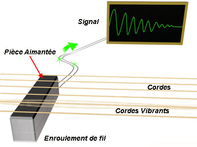 micro guitare vibre