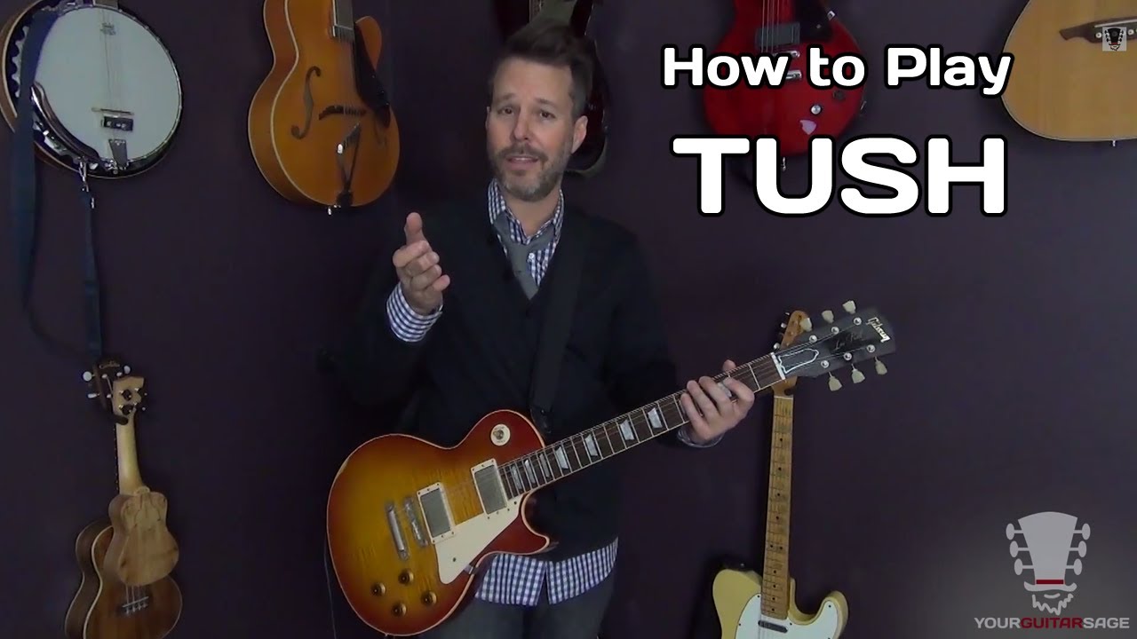 micro guitare zz top