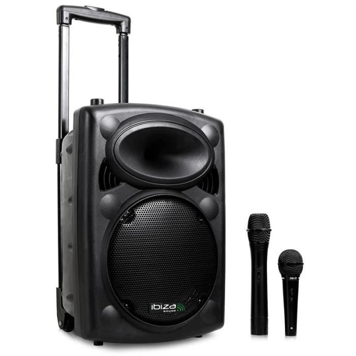 micro sans fil et enceinte bluetooth