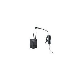 micro sans fil flute traversiere