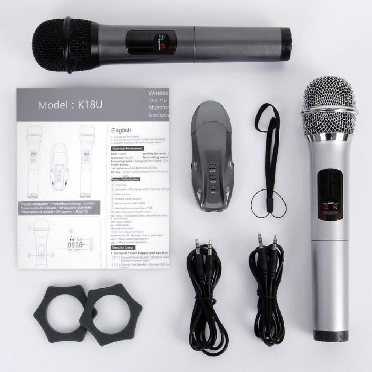 micro sans fil karaoke cdiscount