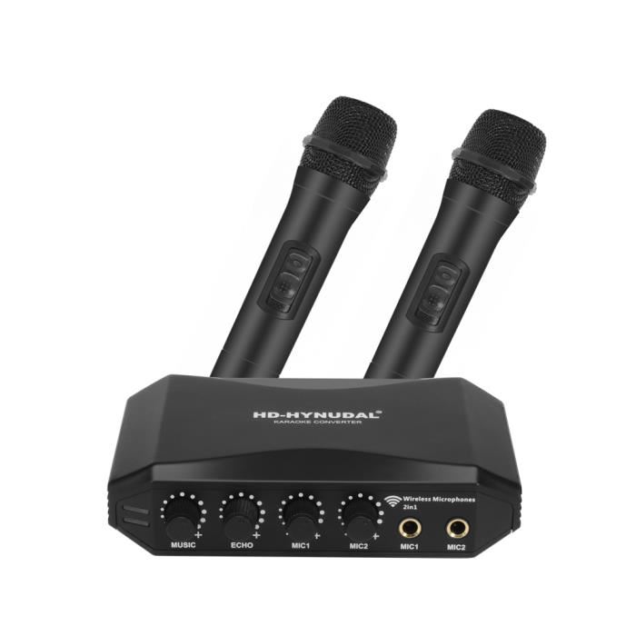 micro sans fil karaoke pc